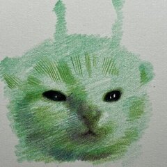 Arash