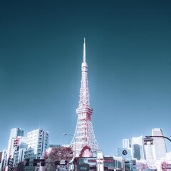 tatsuo6