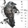 Ravens