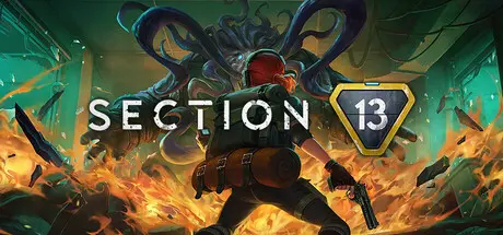 Section 13