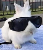 cool.png